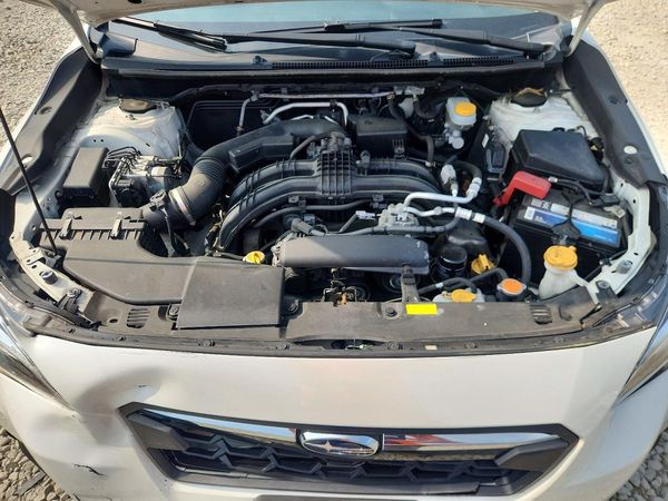 2019 SUBARU CROSSTREK Limited+ES+BSD