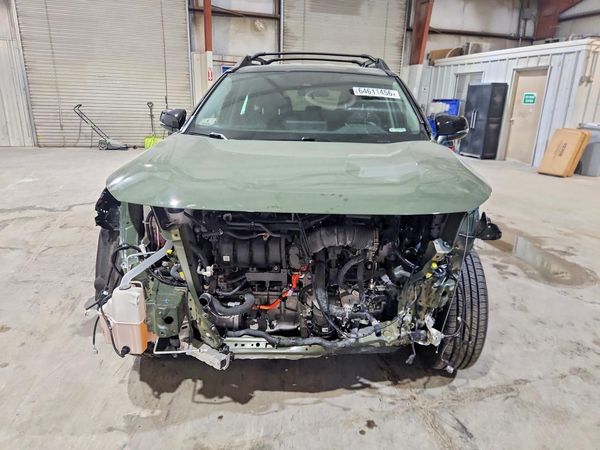 2024 TOYOTA RAV4 Others — DIRF