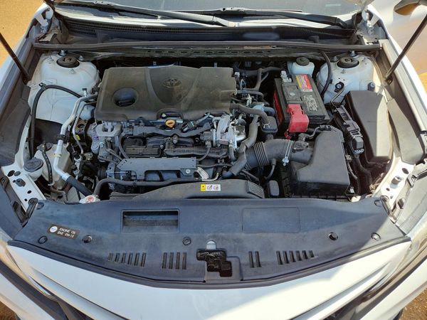2019 TOYOTA CAMRY L/LE/SE/XLE