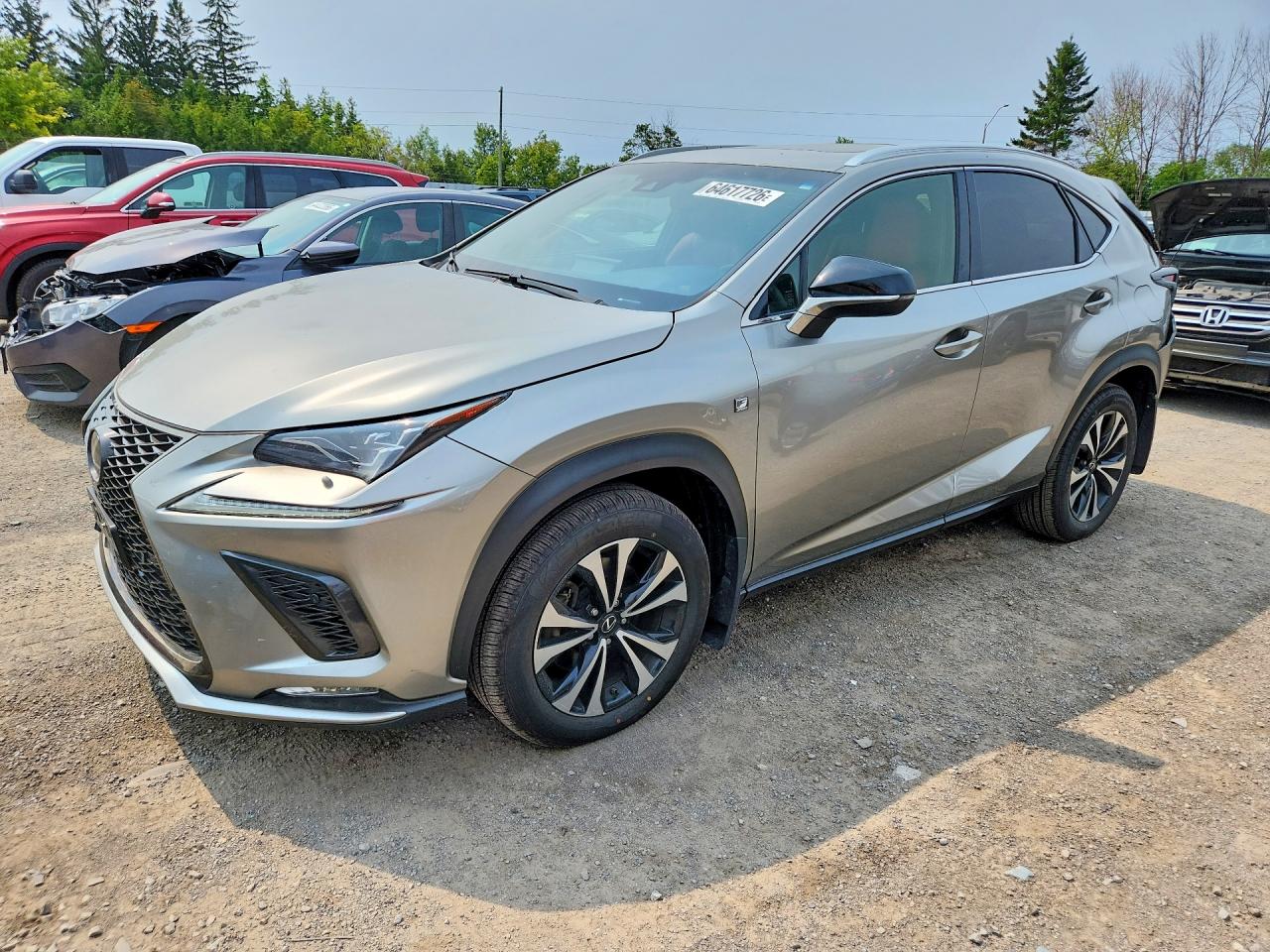 2019 LEXUS NX 300 300 Luxury