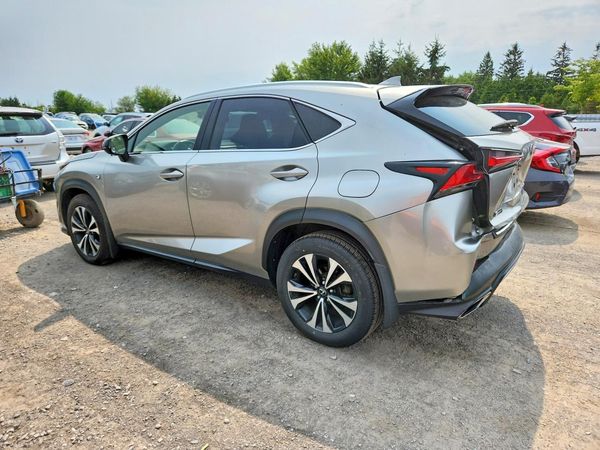 2019 LEXUS NX 300 300 Luxury