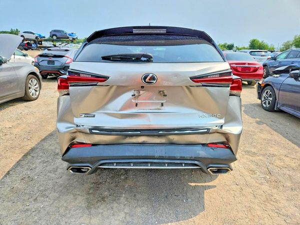 2019 LEXUS NX 300 300 Luxury