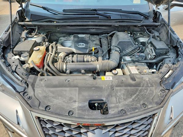 2019 LEXUS NX 300 300 Luxury