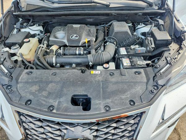 2021 LEXUS NX 300