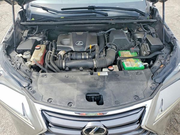 2015 LEXUS NX 200t Luxury