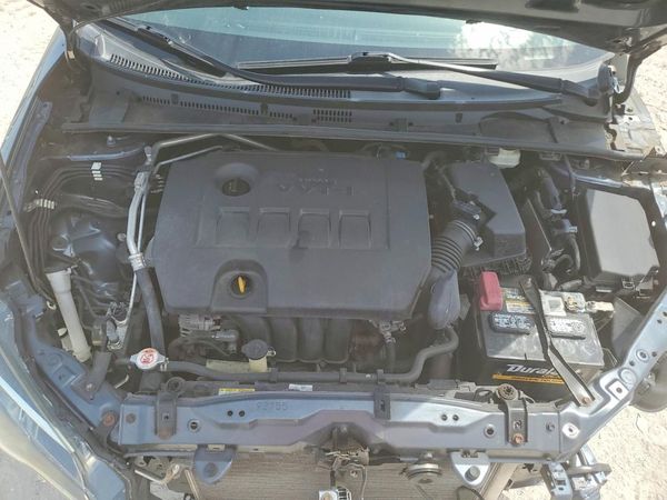 2019 TOYOTA COROLLA L/LE/SE/XLE/XSE
