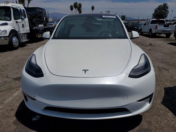 2023 TESLA MODEL Y — DIRF