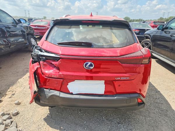2019 LEXUS UX