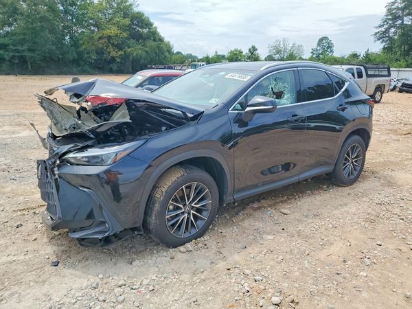 2025 LEXUS NX 350