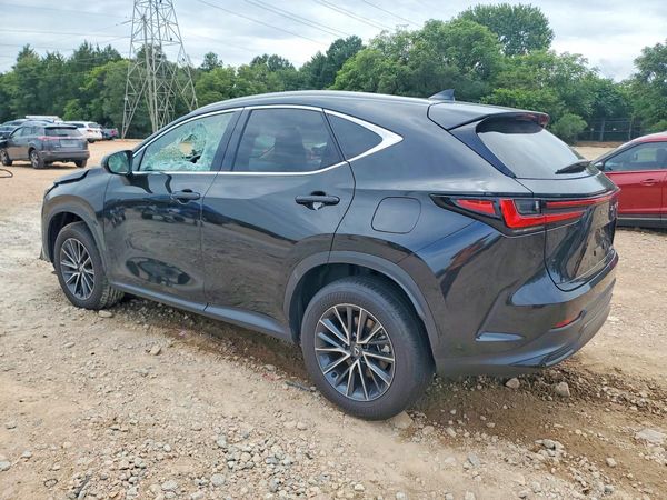 2025 LEXUS NX 350