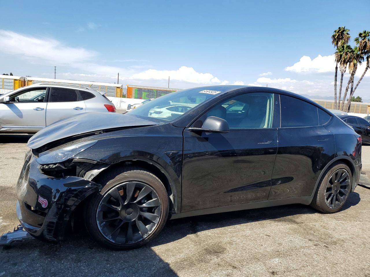 2024 TESLA MODEL Y