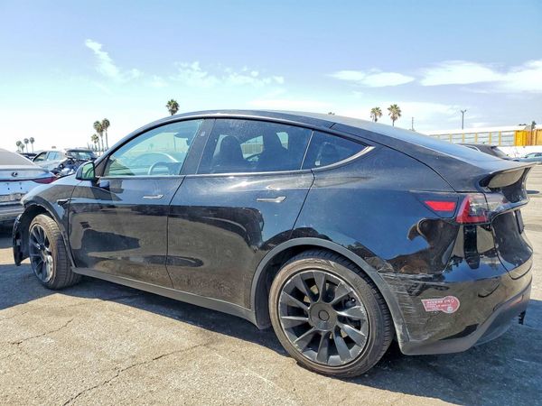 2024 TESLA MODEL Y