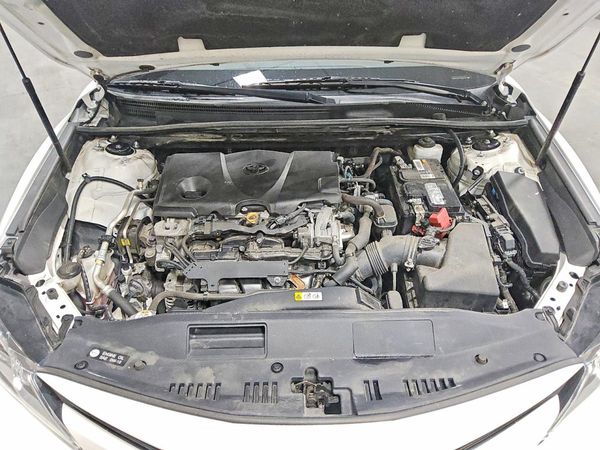 2019 TOYOTA CAMRY L/LE/SE/XLE — Engine bay