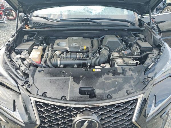 2020 LEXUS NX 300 F Sport Comfort
