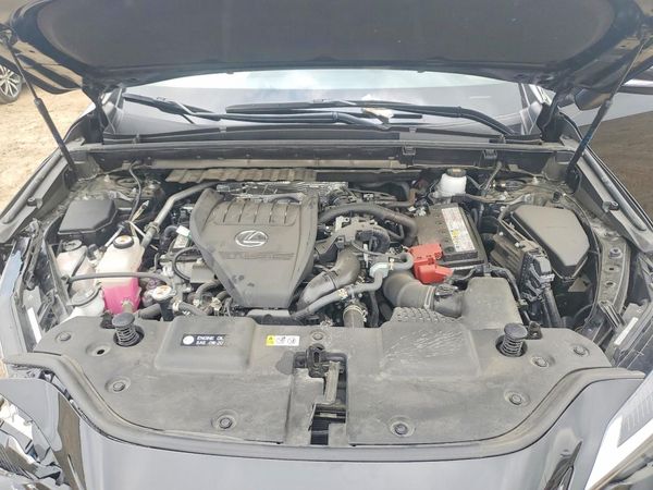 2024 LEXUS NX 350 Premium