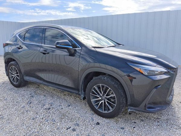 2025 LEXUS NX 350 Premium