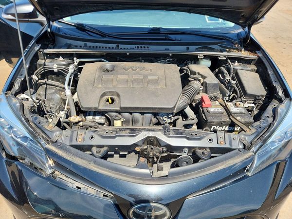 2019 TOYOTA COROLLA L/LE/SE/XLE/XSE