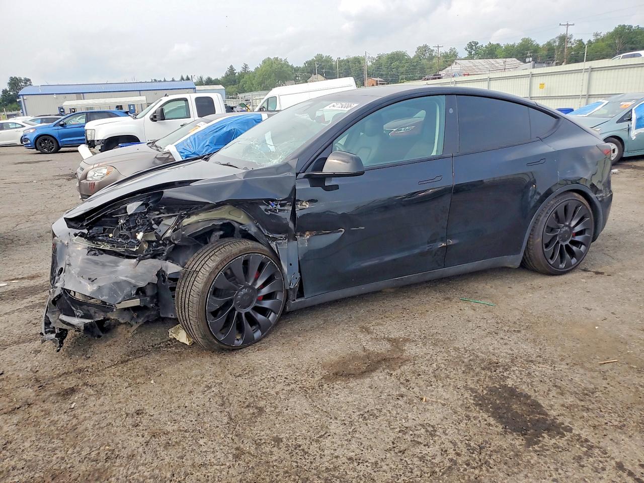 2024 TESLA MODEL Y