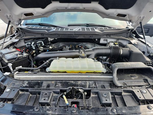 2025 FORD F150 XLT