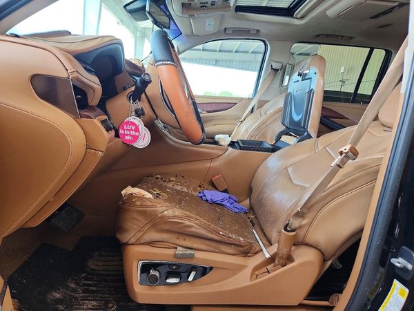 2016 CADILLAC ESCALADE ESV Platinum — DENT