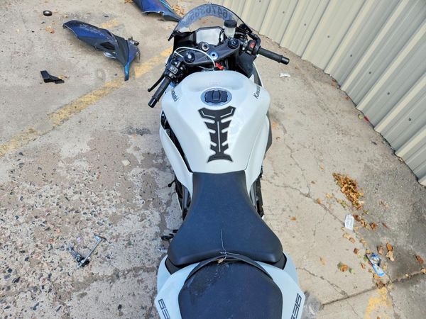 2025 KAWASAKI ZX636