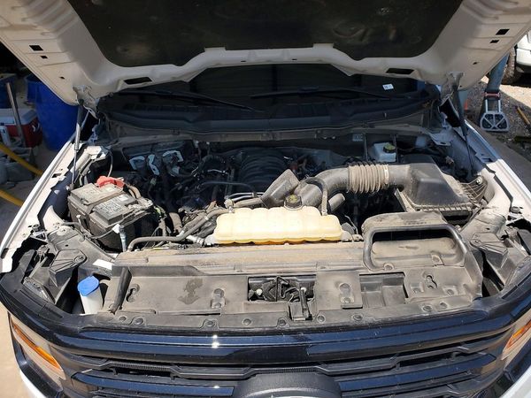 2025 FORD F150 XLT