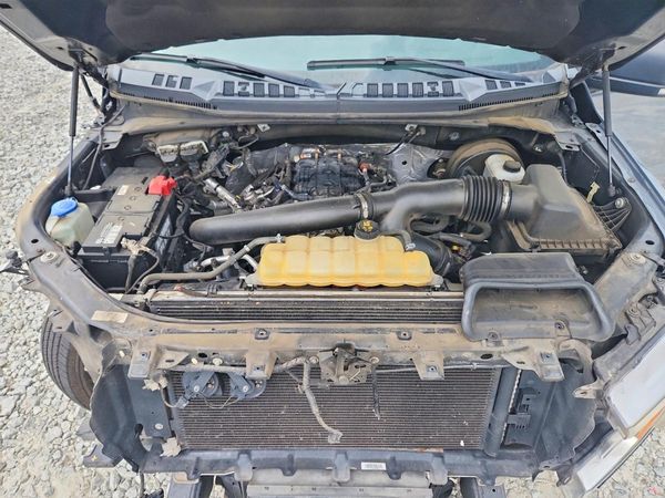 2019 FORD F150