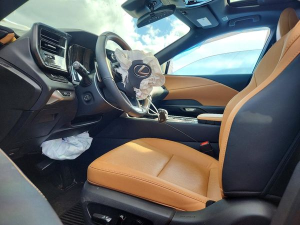 2023 LEXUS RX 350 — DENT