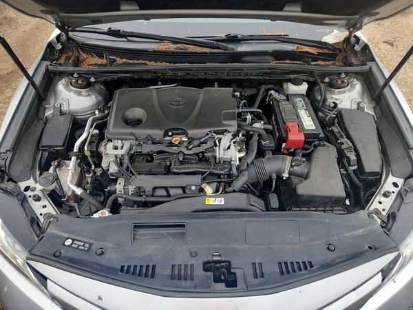 2019 TOYOTA CAMRY L/LE/SE/XLE