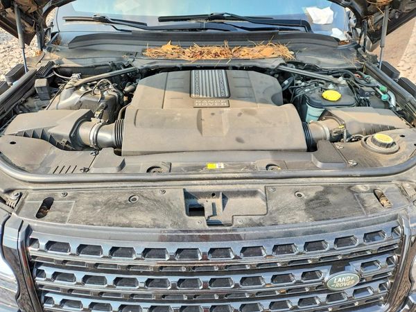 2015 LAND ROVER RANGEROVER Supercharged