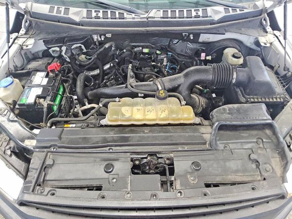 2019 FORD F150