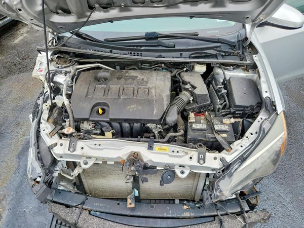 2019 TOYOTA COROLLA L/LE/SE/XLE/XSE