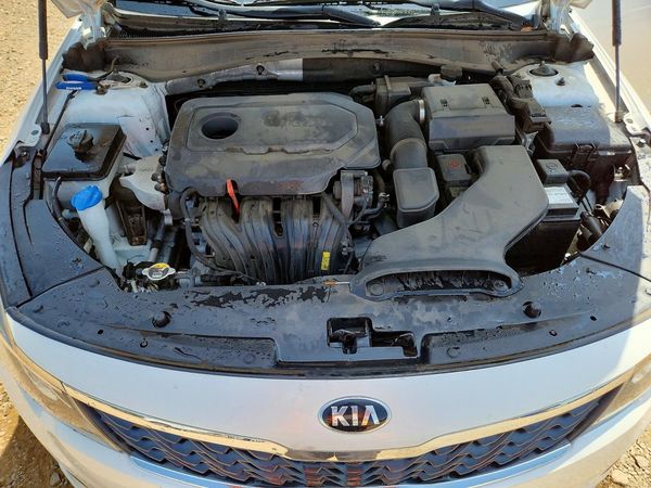 2019 KIA OPTIMA