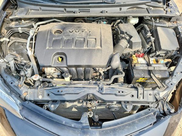 2019 TOYOTA COROLLA L/LE/SE/XLE/XSE