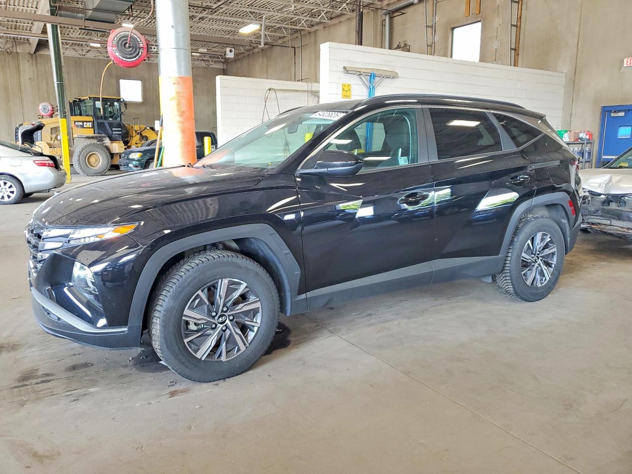 2024 HYUNDAI TUCSON Blue