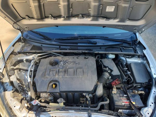 2019 TOYOTA COROLLA L/LE/SE/XLE/XSE