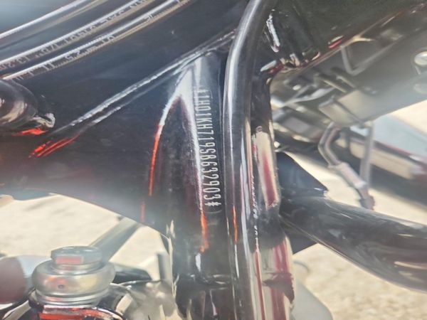 2025 HARLEY-DAVIDSON FLTRX