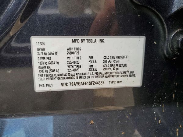 2025 TESLA MODEL Y