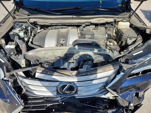 2019 LEXUS RX 350 Standard
