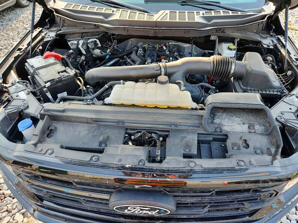 2025 FORD F150 XLT