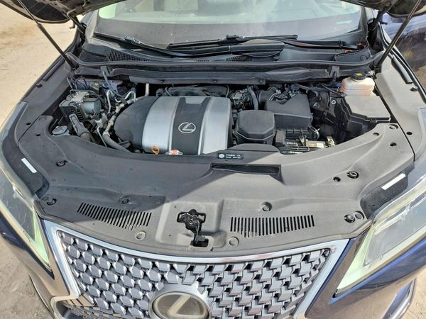2020 LEXUS RX