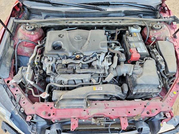 2019 TOYOTA CAMRY L/LE/SE/XLE