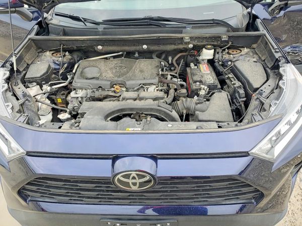 2019 TOYOTA RAV4 XLE / XLE Premium 4WD