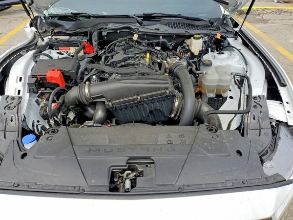 2025 FORD MUSTANG
