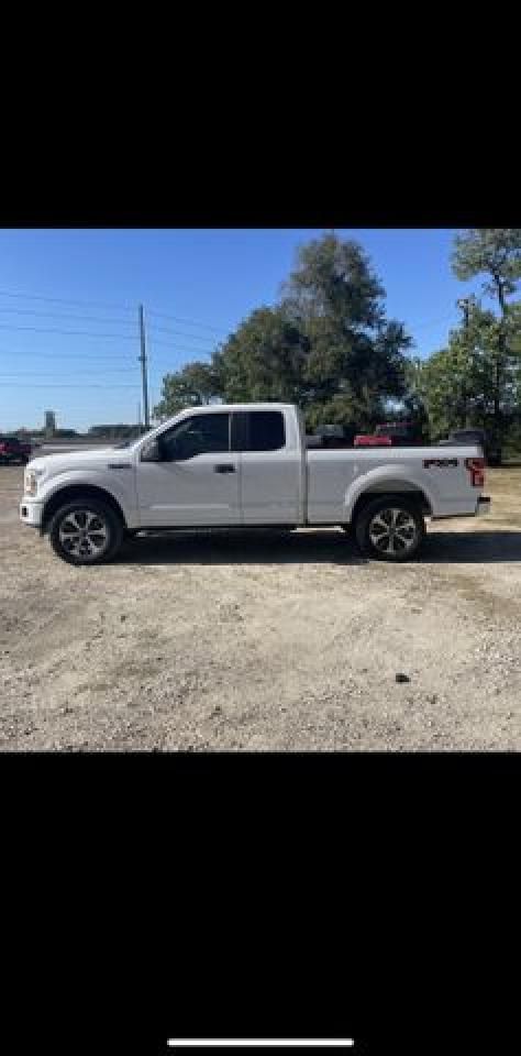 2019 FORD F150