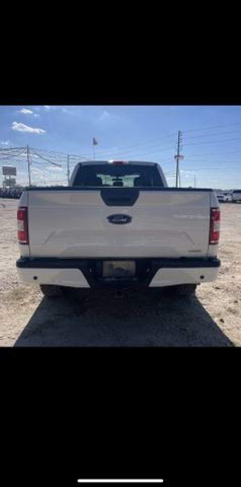 2019 FORD F150