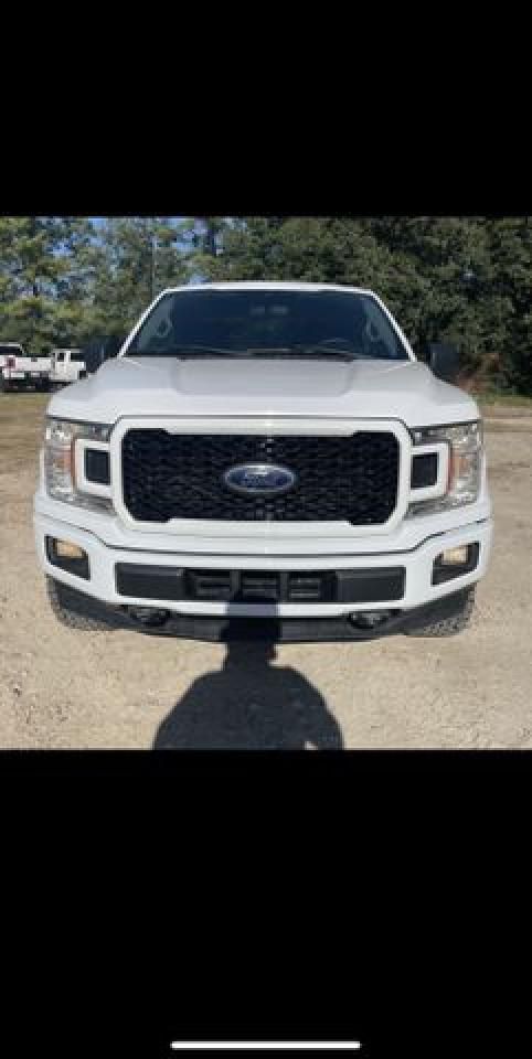 2019 FORD F150