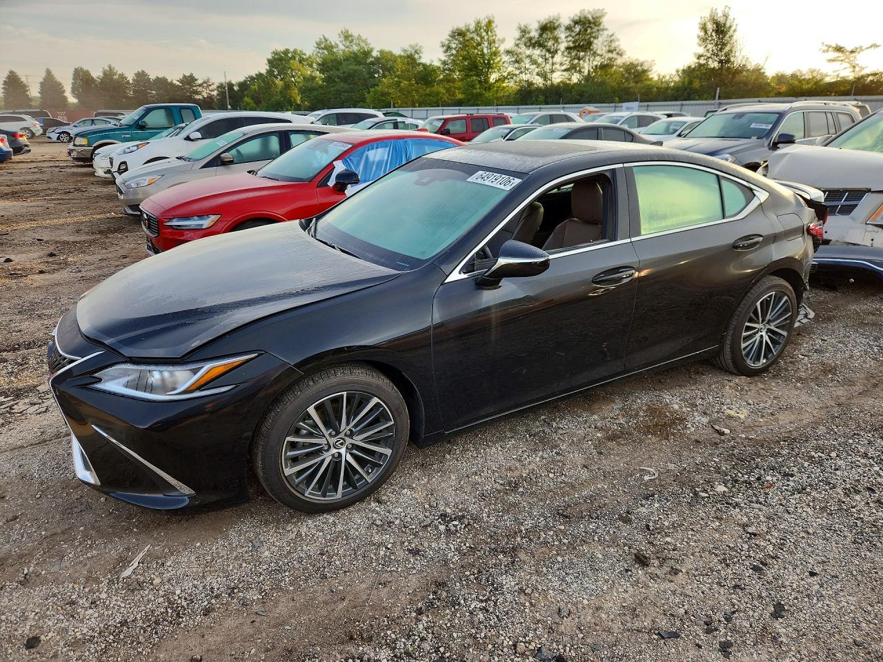 2024 LEXUS ES 250 250 Premium
