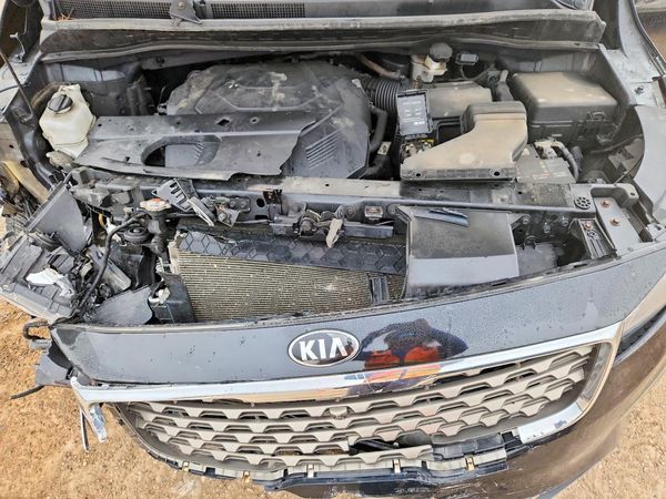2019 KIA SEDONA EX/SX