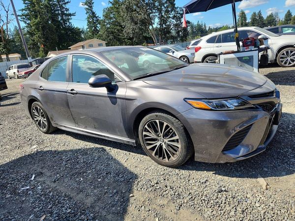 2019 TOYOTA CAMRY L/LE/SE/XLE
